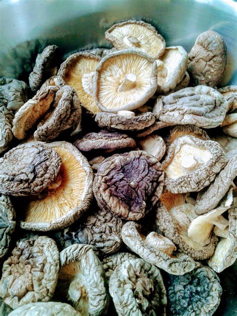 картинки : Грибы, Пища, ингредиент, Натуральные продукты, вся еда ...