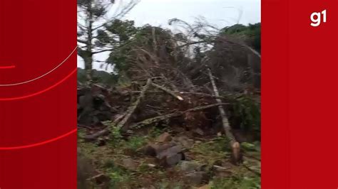 Tornado Ventos De Km H Destr I Casas E Arranca Rvores Em