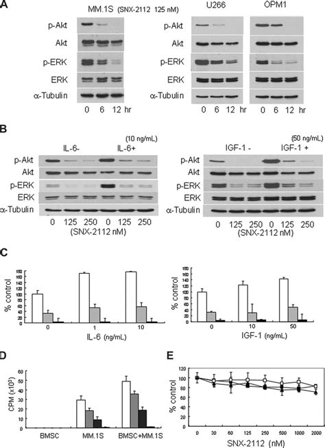 Snx Inhibits Akt And Erk Pathway And Overcomes The Growth