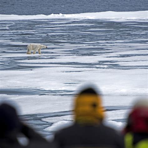 Expeditionskreuzfahrt Spitzbergen Tage Im Eisb Rland Diamir