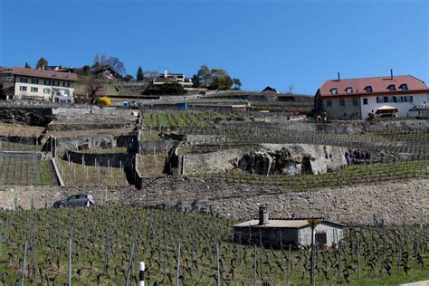 Dorf In Den Rebbergen Des Lavaux Im Kanton Waadt Vaud In Flickr