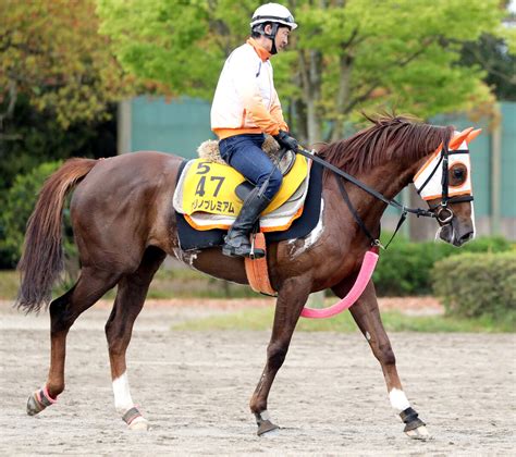 【福島牝馬s】クリノプレミアム柴田善臣騎手で昨年2着のリベンジ 伊藤伸調教師「イメージはつかんでくれている」 Umatoku 馬トク