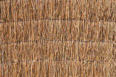 Close Up Straw Of Japanese Thatched Roof Texture Background ภาพถ่ายสต็อก Adobe Stock