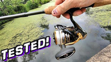 Daiwa Exceler Lt Spinning Reel Test Review Youtube