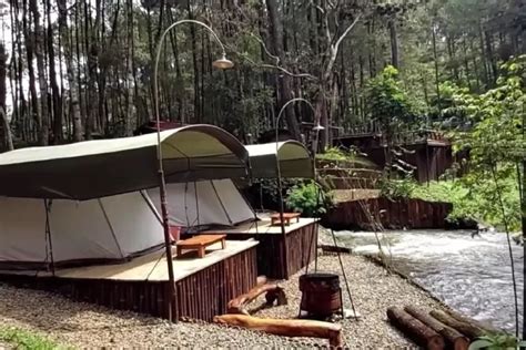 Glamping Di Tengah Hutan Pinus Pangalengan Bandung Keluar Tenda Bisa