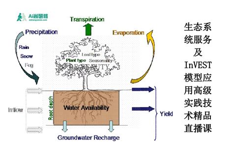 第四期生态系统服务及invest模型应用高级实践技术培训班 Ai尚研修