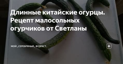 Длинные китайские огурцы. Рецепт малосольных огурчиков от Светланы ...