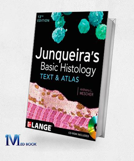 Junqueiras Basic Histology Text And Atlas Off 20