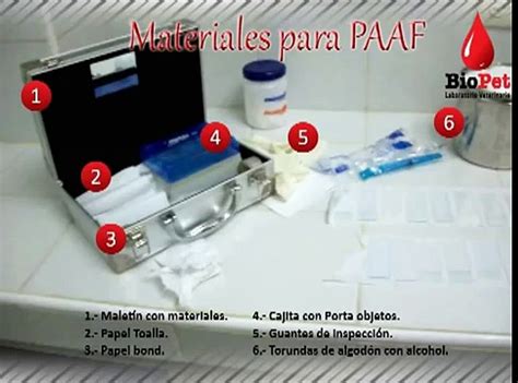 Punción y aspiración con aguja fina PAAF Procedimiento para una