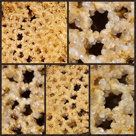 Crystallized Tabulate Coral | Crystals, Coral, Fossil