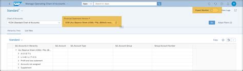 How To Efficiently Manage Your Chart Of Accounts W SAP Community