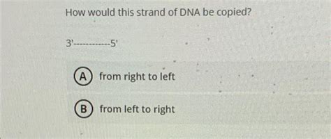 Solved Subunits of a DNA molecule are: (A) nucleotides (B) | Chegg.com