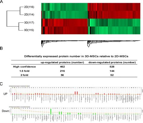 Quantitative Proteomics Analysis Of Mscs Cultured On 3d Substrates And Download Scientific