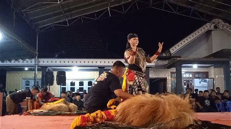 Pagelaran Reog Ponorogo Singo Mulang Joyo Kyai Singo Joyo Live Wringi