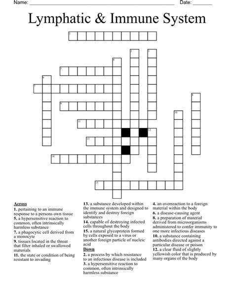 The Lymphatic System Word Search Wordmint