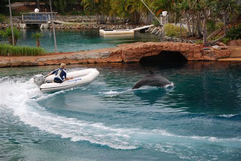 Sea World Australia Photos Videos Reviews Information