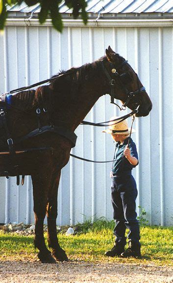 Amish At A Quilt Auction In Wisconsin Travel Photos By Galen R