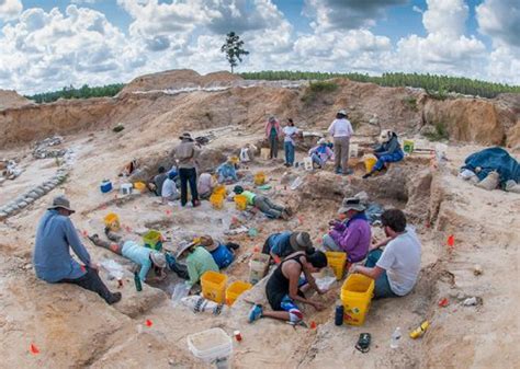 Vertebrate Paleontology Collection