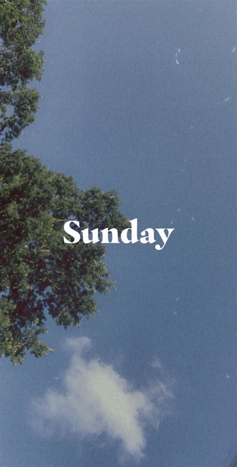 Sunday Aesthetic Tumblr Wallpaper