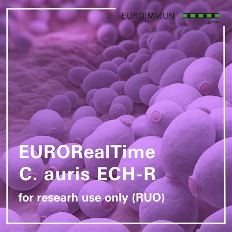 Euroimmun España En Linkedin Eurorealtime Euroimmun Pcr Candida Auris
