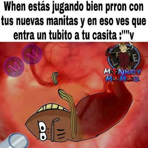 Momos Shidoris Alv Libro Memes Est Pidos Memes Divertidos