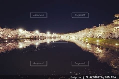 桜のリフレクションの写真・画像素材 6594817 Snapmart（スナップマート）