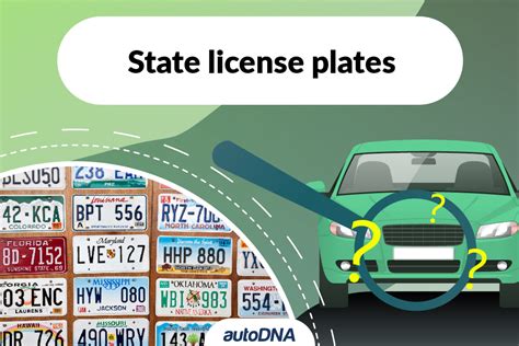 State License Plates A Complete Guide Across America