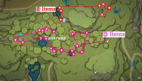 Genshin Padisarah Location And Farm Routes Gamewith