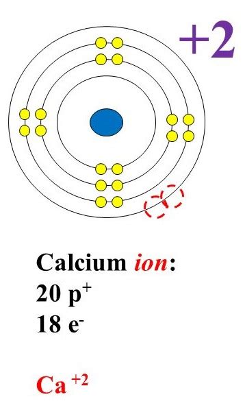 [Solved] Draw calcium ion Lewis Dot Diagram Draw a calcium ion bohr ...