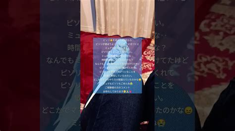 お迎え5日目のセキセイインコ と先住鳥 の間に不穏な空気が セキセイインコ Budgerigar ルチノー 動物（犬・猫 他色々