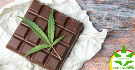 ¿cómo Hacer Chocolate De Cannabis En Casa