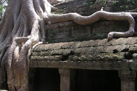 Dniowa Wycieczka Grupowa Do Angkor Wat Bayon Ta Promh I Koh Ker