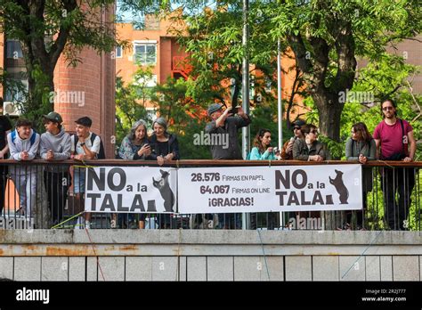 Un Grupo De Vecinos Observa Desde La Parte Superior Del Parque Debajo