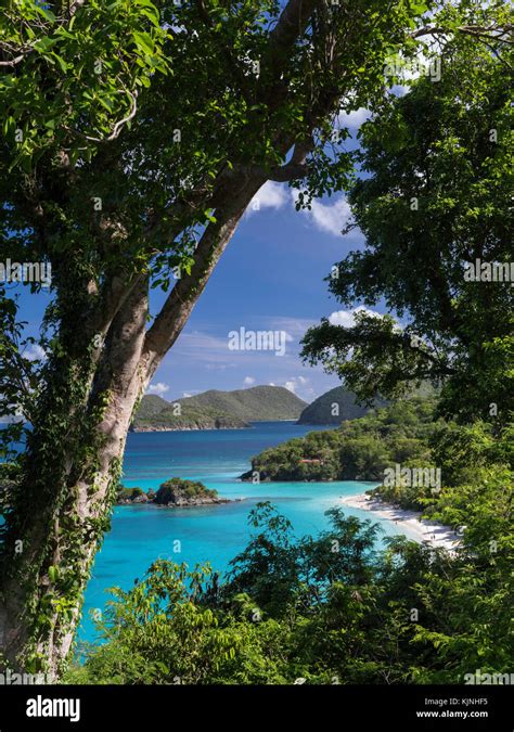 Trunk Bay Overview St John US Virgin Islands National Park Stock