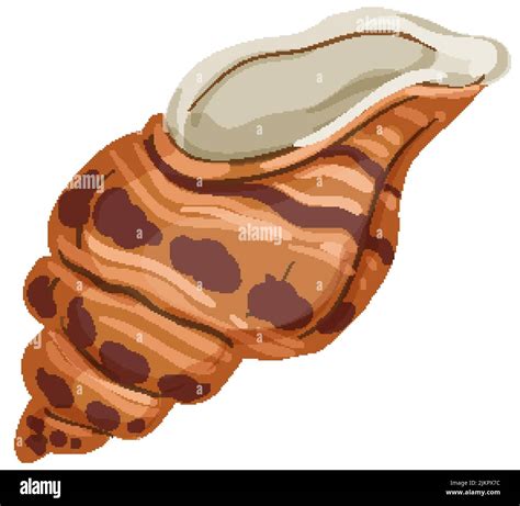 Conch Sea Shell Cartoon Vector Illustration Stock Vector Image Art