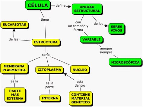 Mapa conceptual de la célula Guía paso a paso