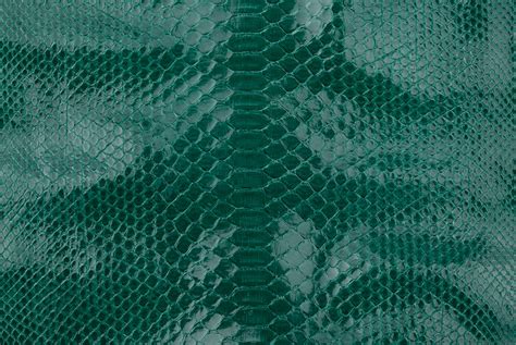 lizard skin java bcub crust natural