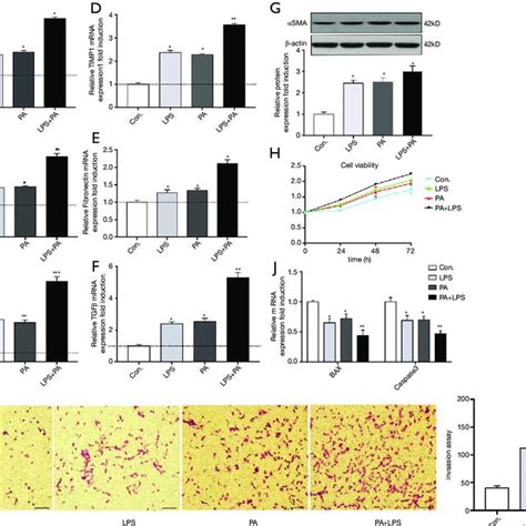 Pa Promotes Hscs Activation Proliferation Migration And Decreases Its