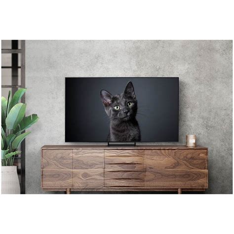 Televizor SAMSUNG OLED 55S90C 138 Cm Smart 4K Ultra HD 100 Hz