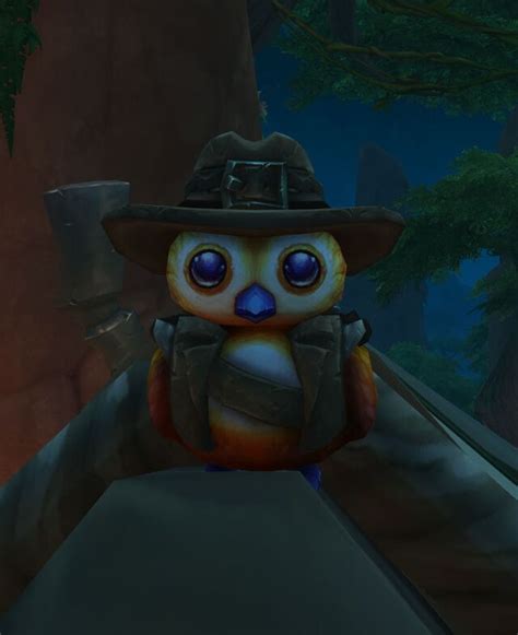 Explorer Pepe Warcraft Wiki Your Wiki Guide To The World Of Warcraft