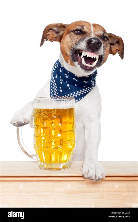 Dogs With Beer