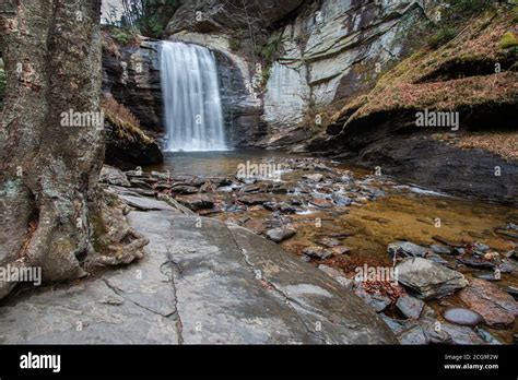 River Flowing Away From The Looking Glass Waterfall With Large Tree