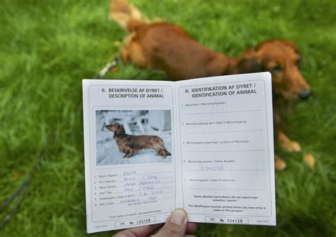 Does My Dog Need A Passport To Go To France at Kevin Tejeda blog
