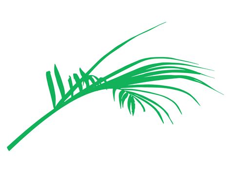 Coconut Leaf Tropical Leaves Illustration 43194787 Vector Art at Vecteezy