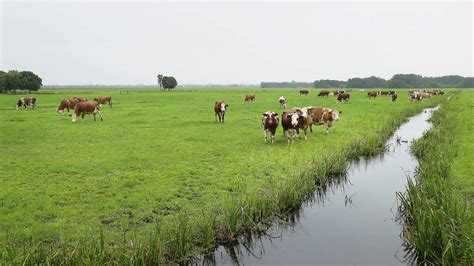 Hklap On Twitter Rt Melkveetweet Rotgers Overschrijden Nitraatnorm