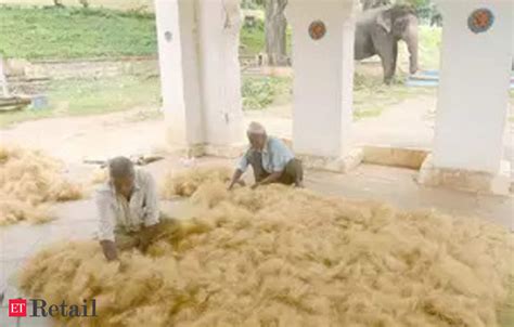 India May Extend Anti Dumping Duty To Jute Clothes From Bangladesh ET