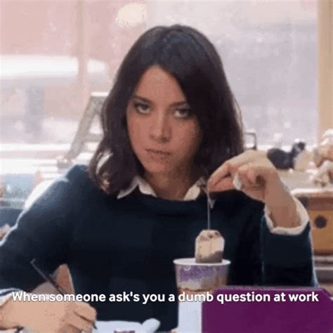 Dumb Question GIFs Get The Best On GIPHY