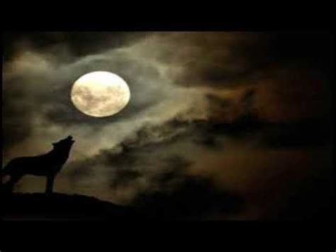 WOLF HOWLING SOUND EFFECT - YouTube