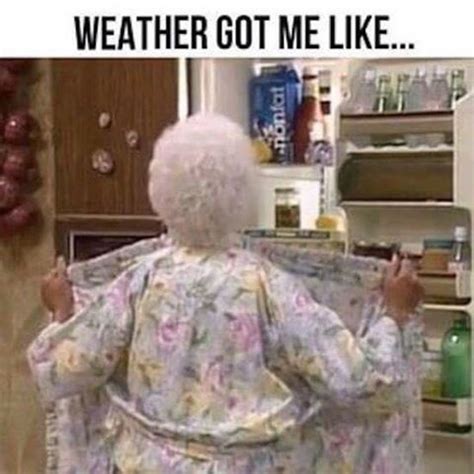 Summer Heat Humor Hot Weather Humor Weather Memes Funny Weather