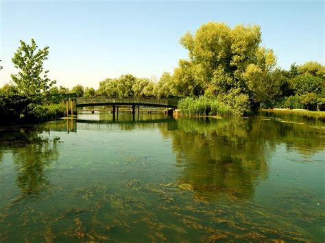 Parco Naturale Del Fiume Sile Galleria Fotografica Il Sile A Quinto